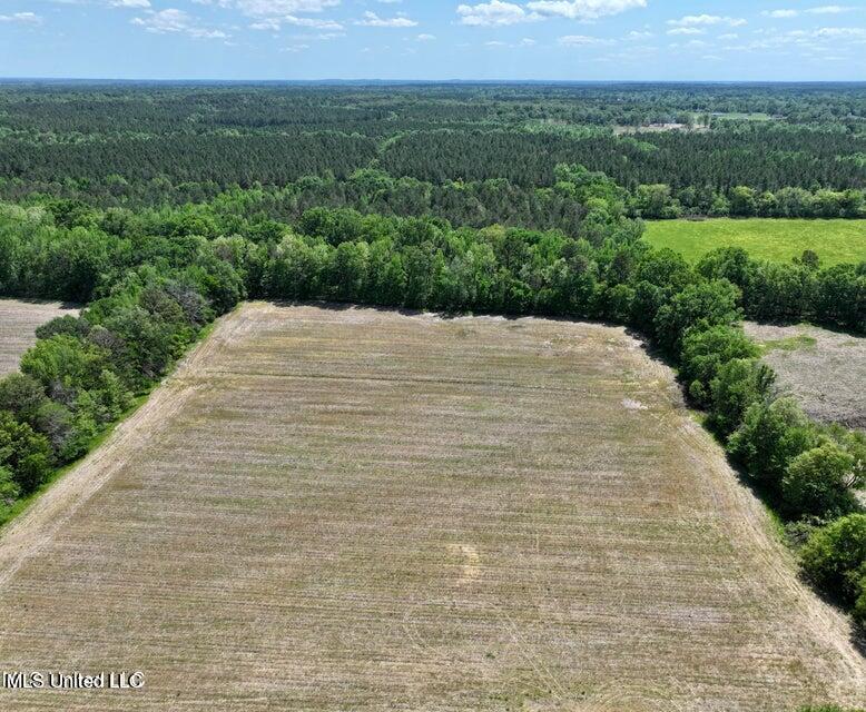Renfroe Road Canton, MS 39046 - Photo 8 of 20 20240416235448490742000000-o