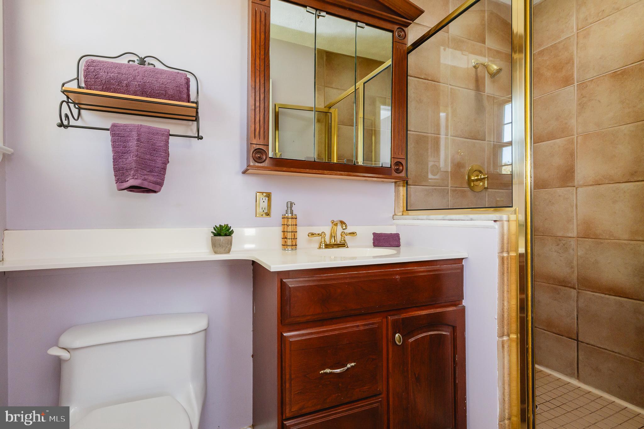1305 Charmuth Road Lutherville-Timonium, MD 21093 - Photo 37 of 52 Primary bath