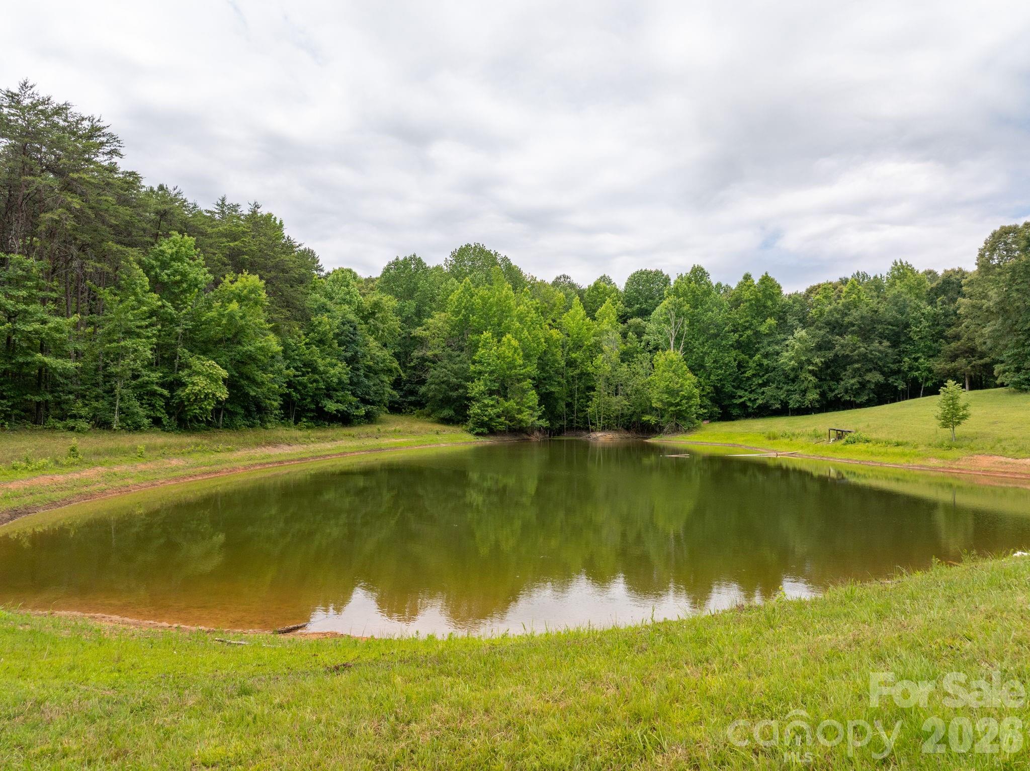 1350 Lee Cudd Road Rutherfordton, NC 28139 - Photo 8 of 38