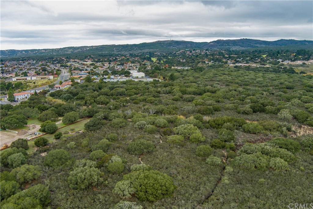 3965 Apollo Way Lompoc, CA 93436 - Photo 28 of 46 a view of a city with lush green forest