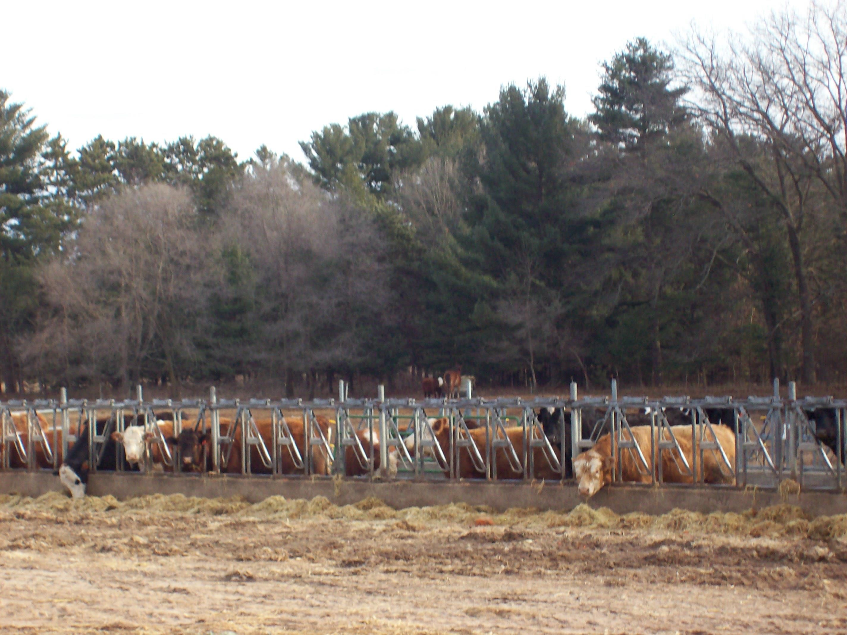 N6702 12th Road Montello, WI 53949 - Photo 12 of 51