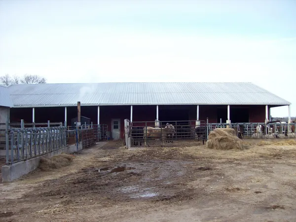 $649,900 | N6702 12th Road, Montello, WI 53949