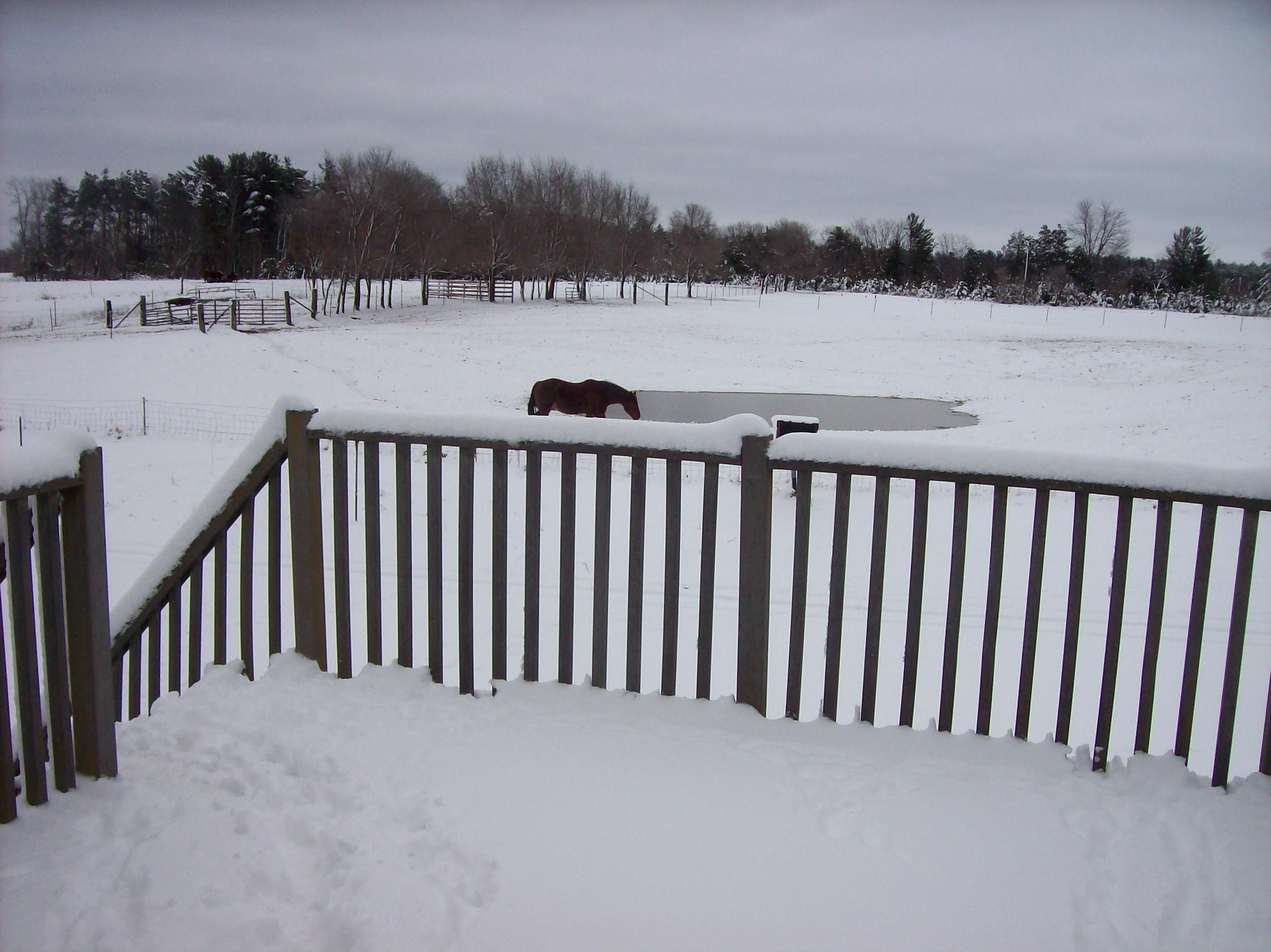 N6702 12th Road Montello, WI 53949 - Photo 49 of 51