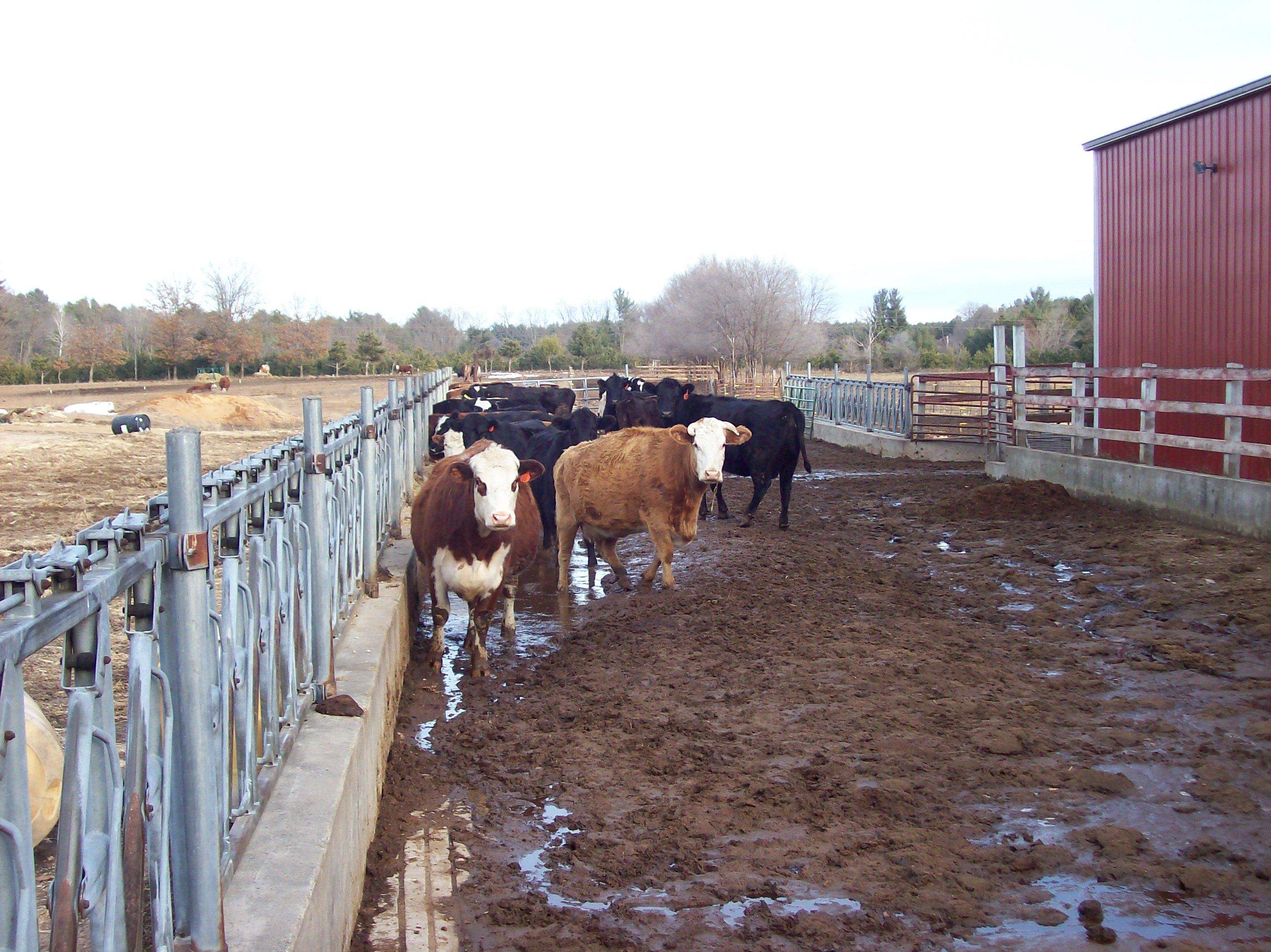 N6702 12th Road Montello, WI 53949 - Photo 10 of 51
