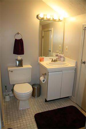 8 Apple Ridge Road, Unit 6 Maynard, MA 01754 - Photo 23 of 30 a bathroom with a toilet a sink and mirror