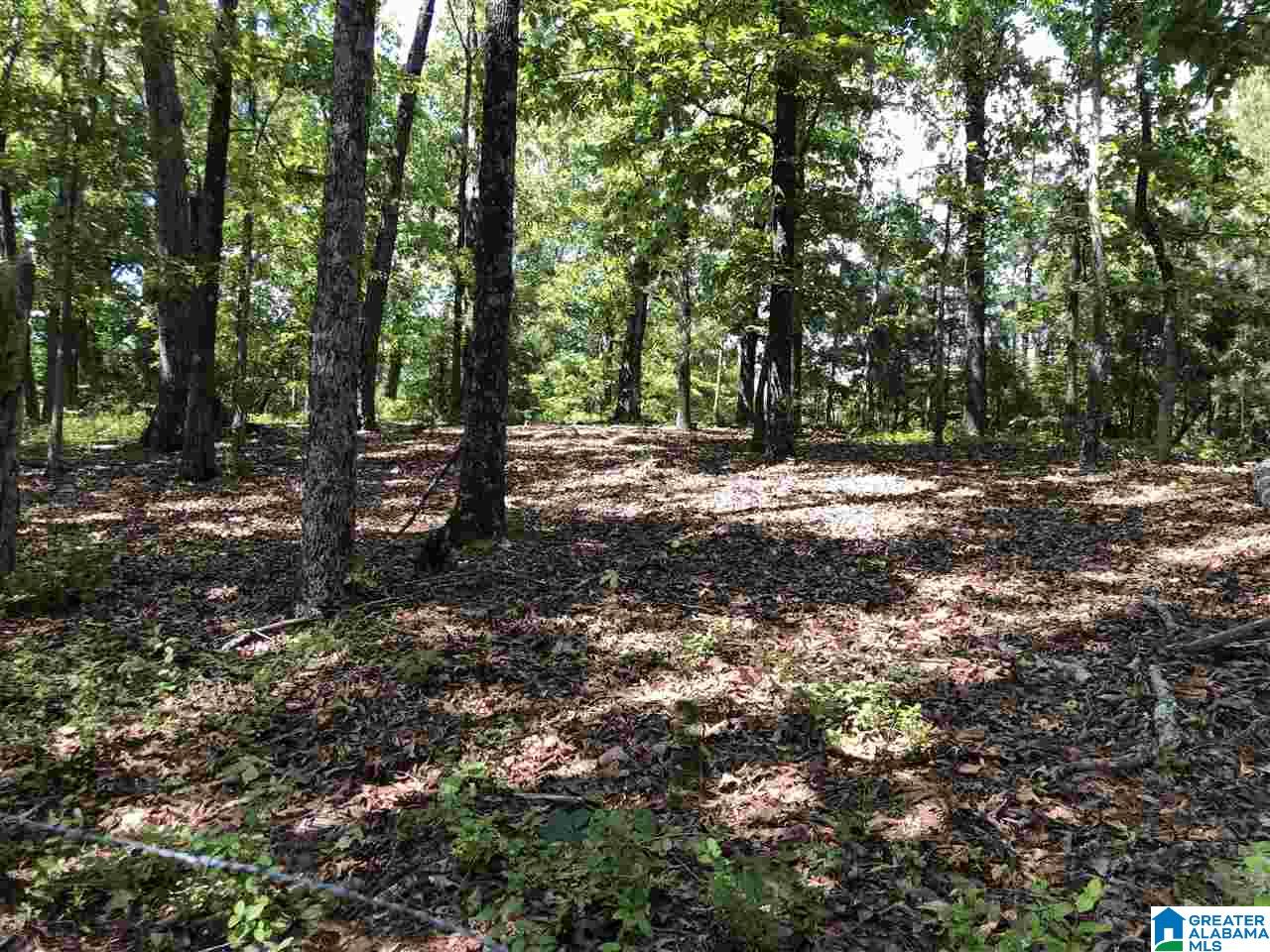 230 Copper Springs Road Odenville, AL 35120 - Photo 19 of 42