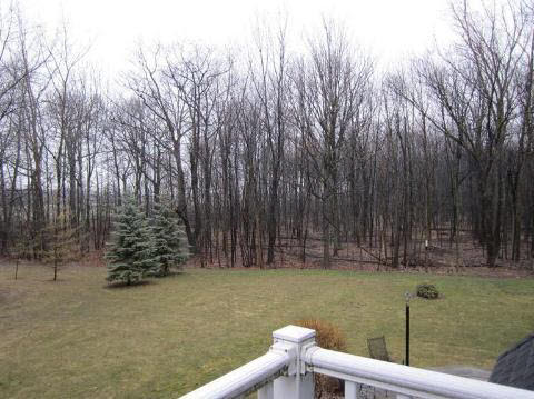 8373 Unionville Road Sebewaing, MI 48759 - Photo 30 of 33 20352026-29.JPG