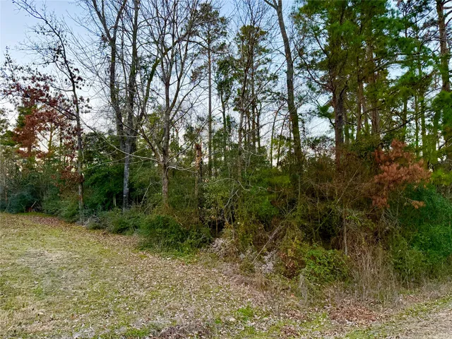 $15,000 | Tbd Tallow Street, Onalaska, TX 77360