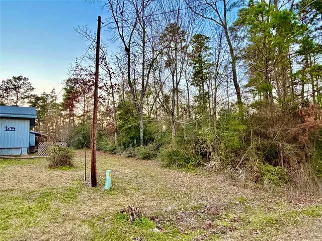 a view of a tree in the middle of a yard