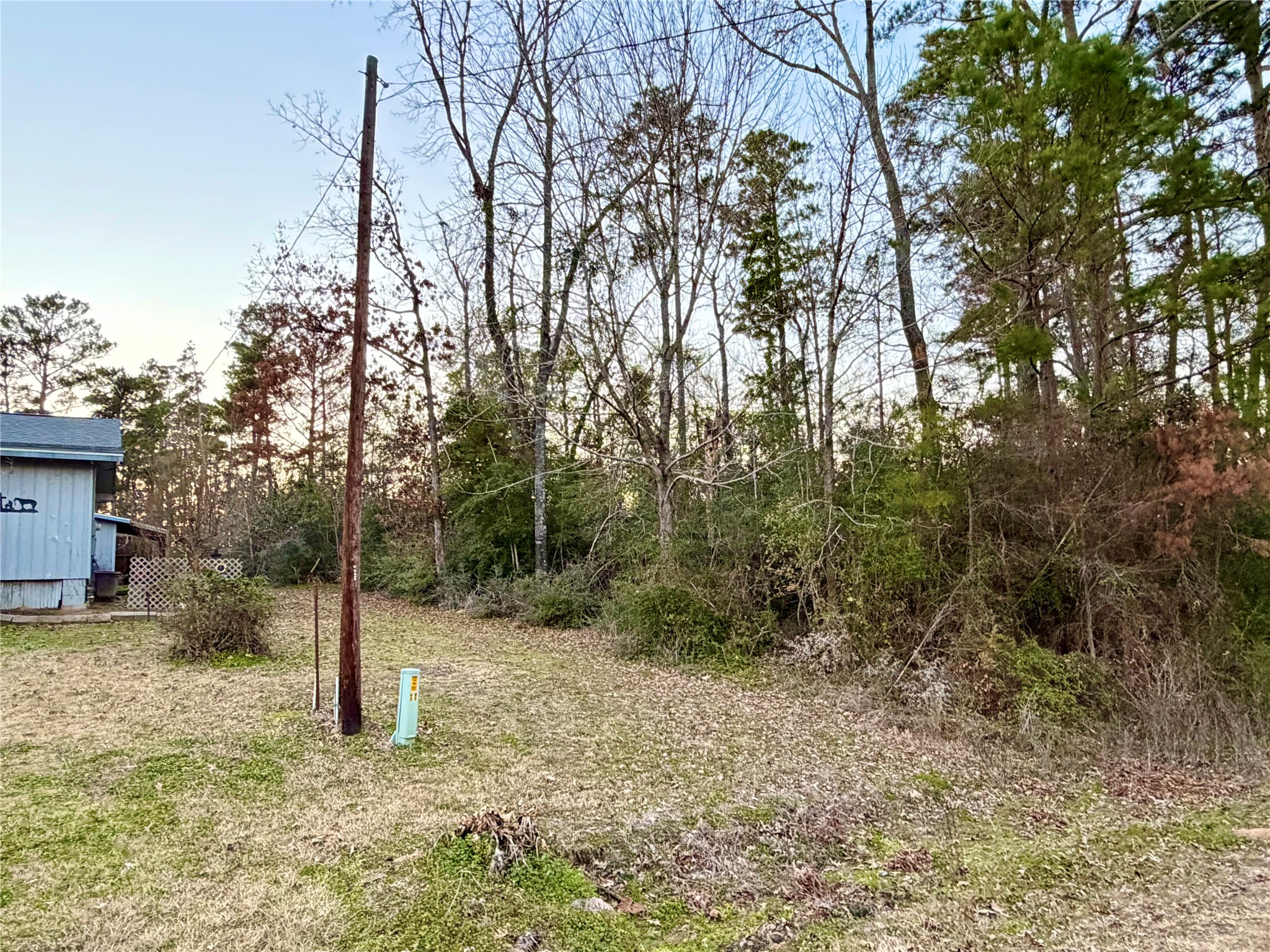 Tbd Tallow Street Onalaska, TX 77360 - Photo 3 of 6