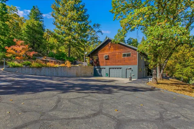 a view of a bunch of trees and bushes