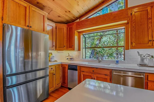 a view of a tree with in the background