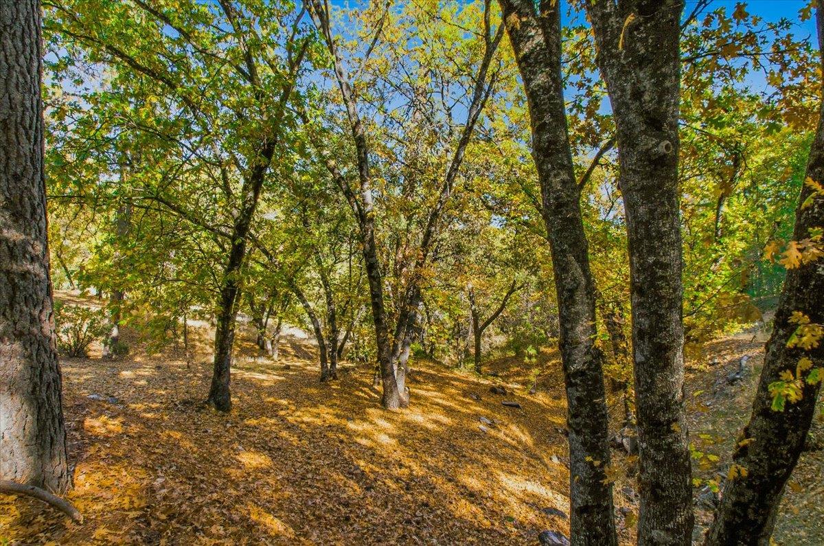 5617 Indian Hills Road Murphys, CA 95247 - Photo 64 of 80