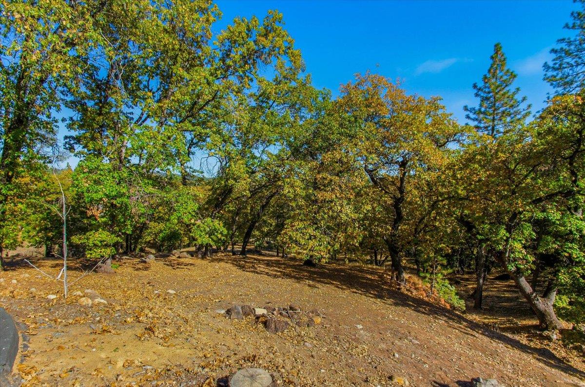 5617 Indian Hills Road Murphys, CA 95247 - Photo 71 of 80