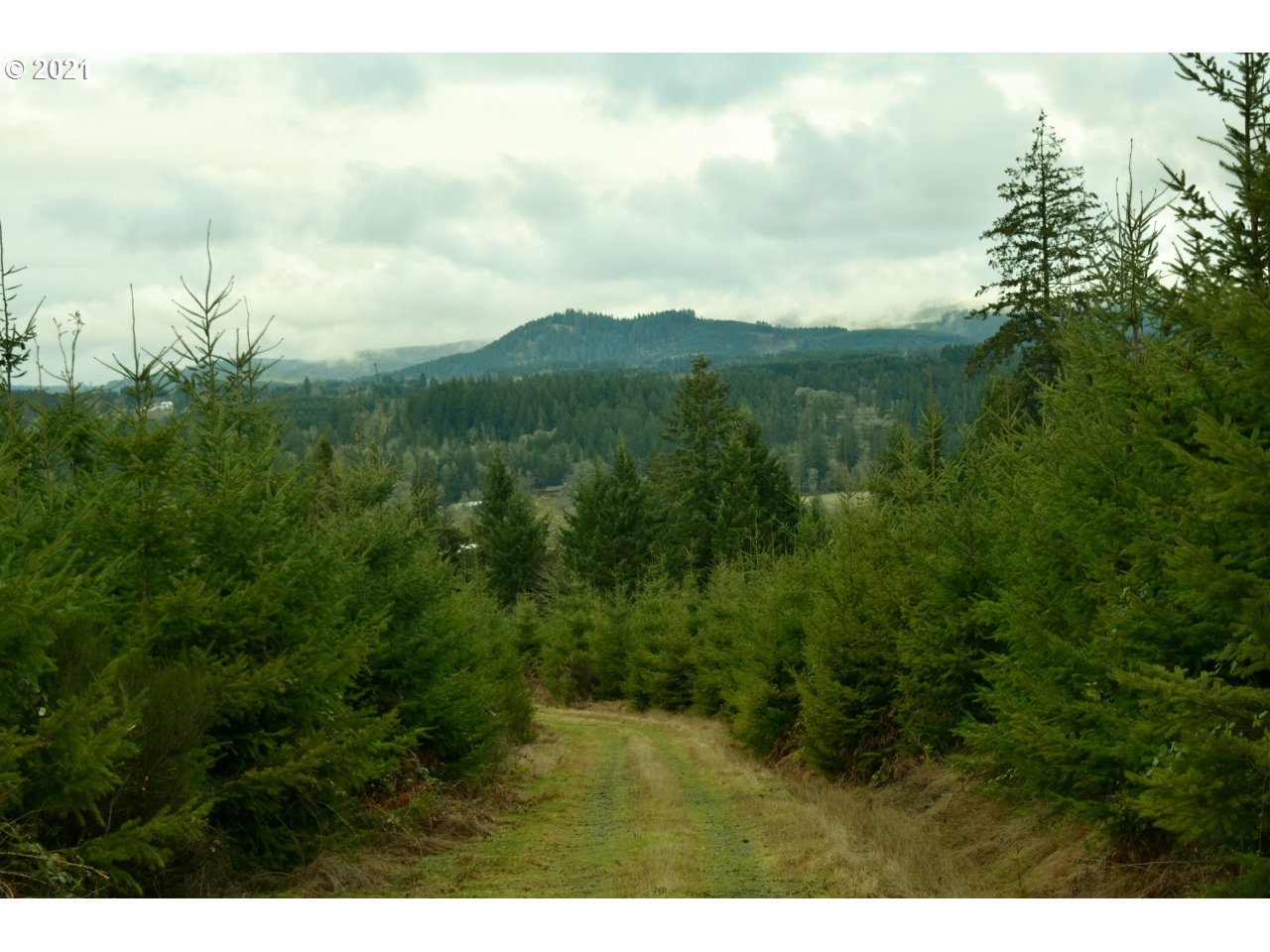 Mt Pleasant Road Lebanon, OR 97355 - Photo 1 of 25