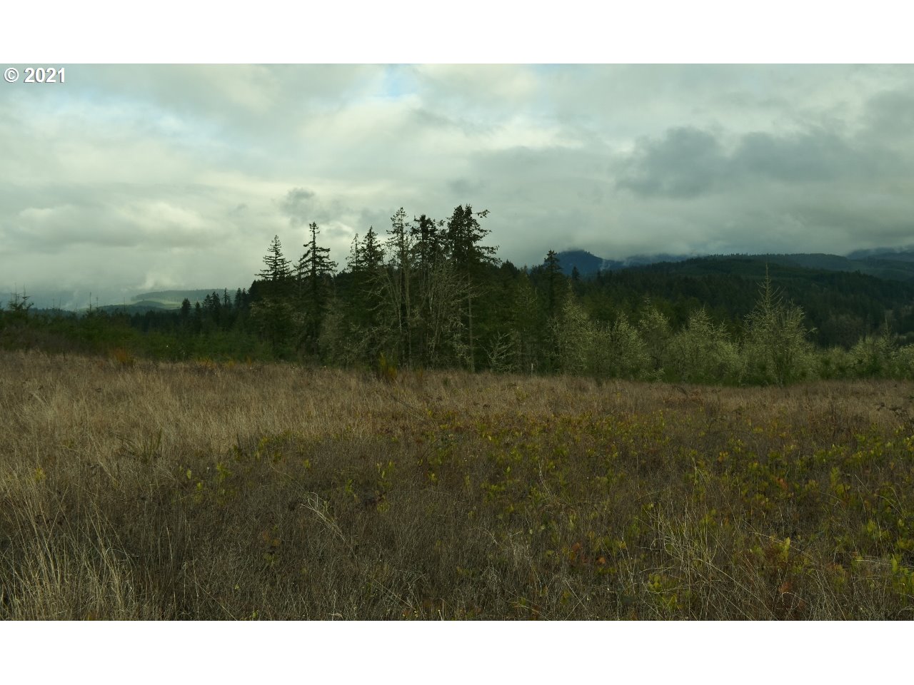 Mt Pleasant Road Lebanon, OR 97355 - Photo 13 of 25