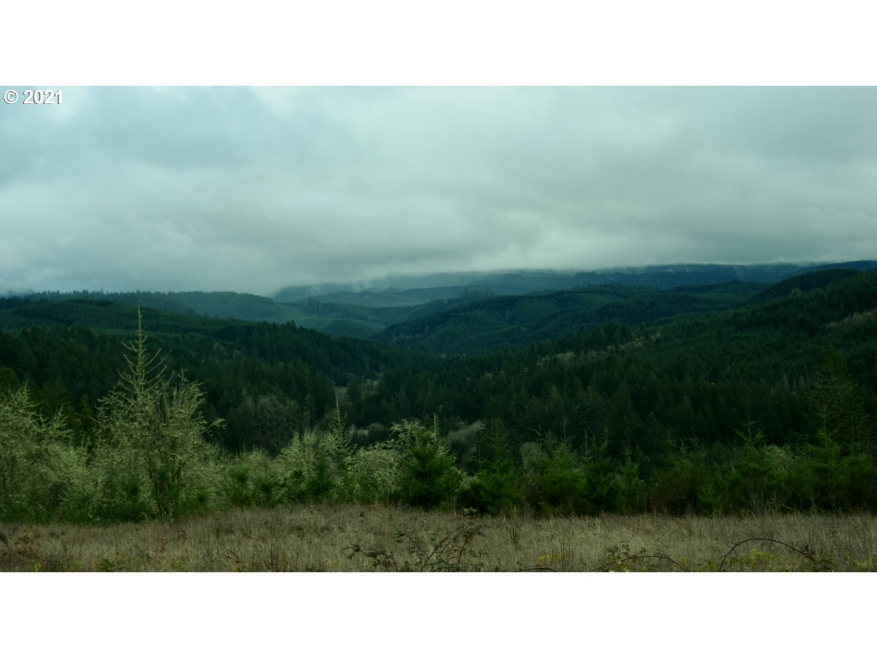 Mt Pleasant Road Lebanon, OR 97355 - Photo 14 of 25