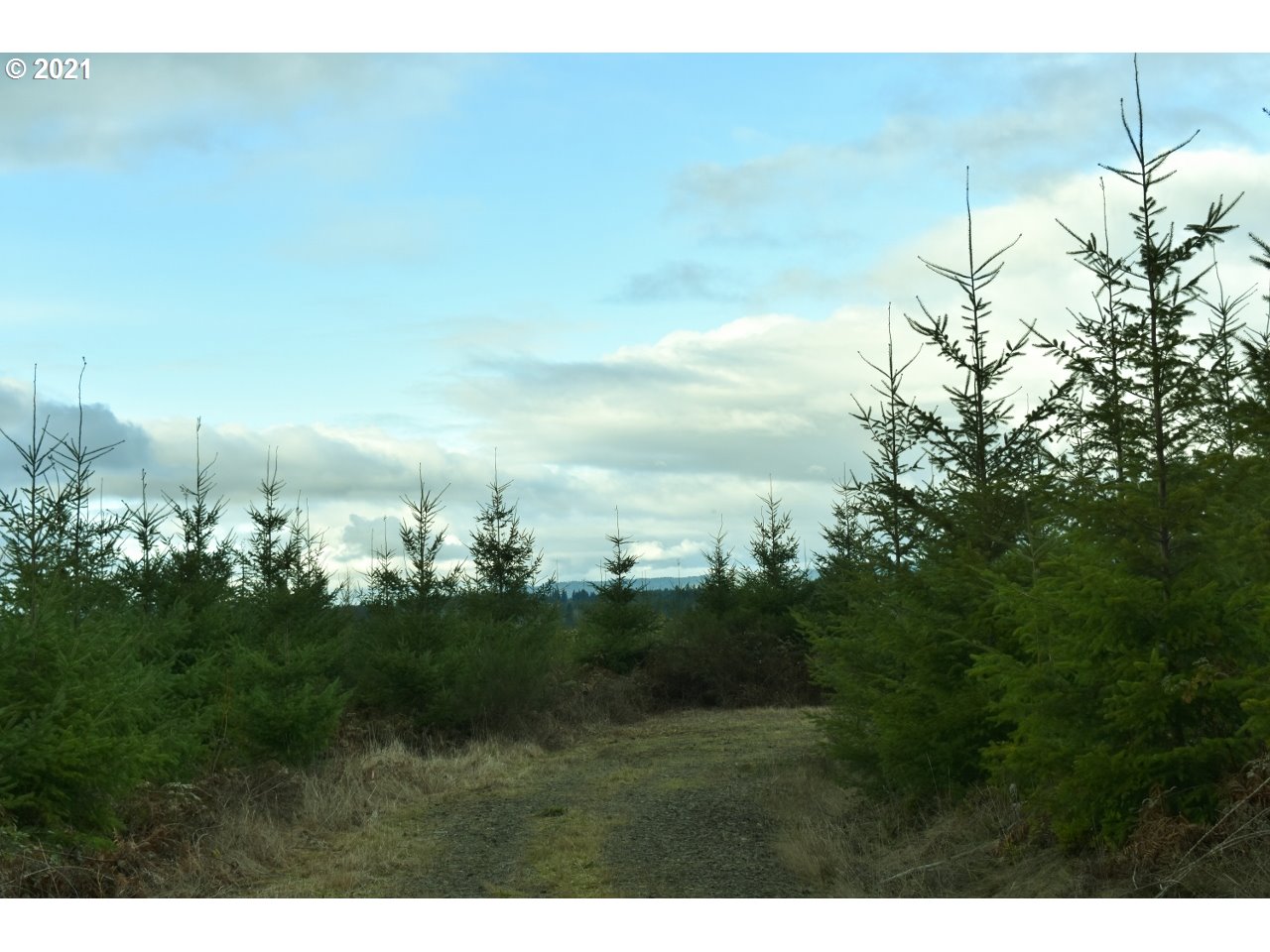 Mt Pleasant Road Lebanon, OR 97355 - Photo 16 of 25