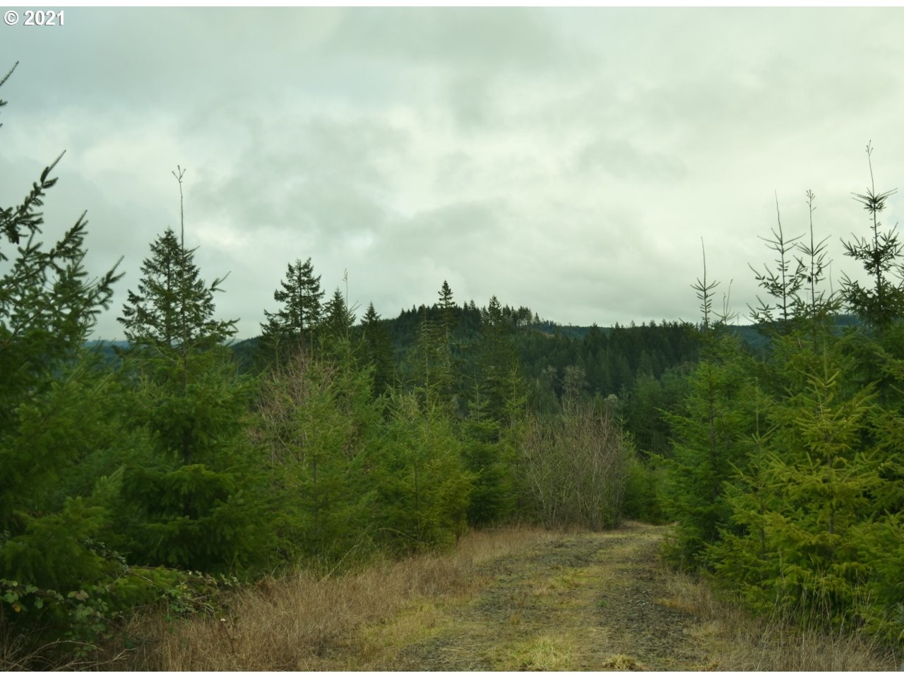 Mt Pleasant Road Lebanon, OR 97355 - Photo 18 of 25