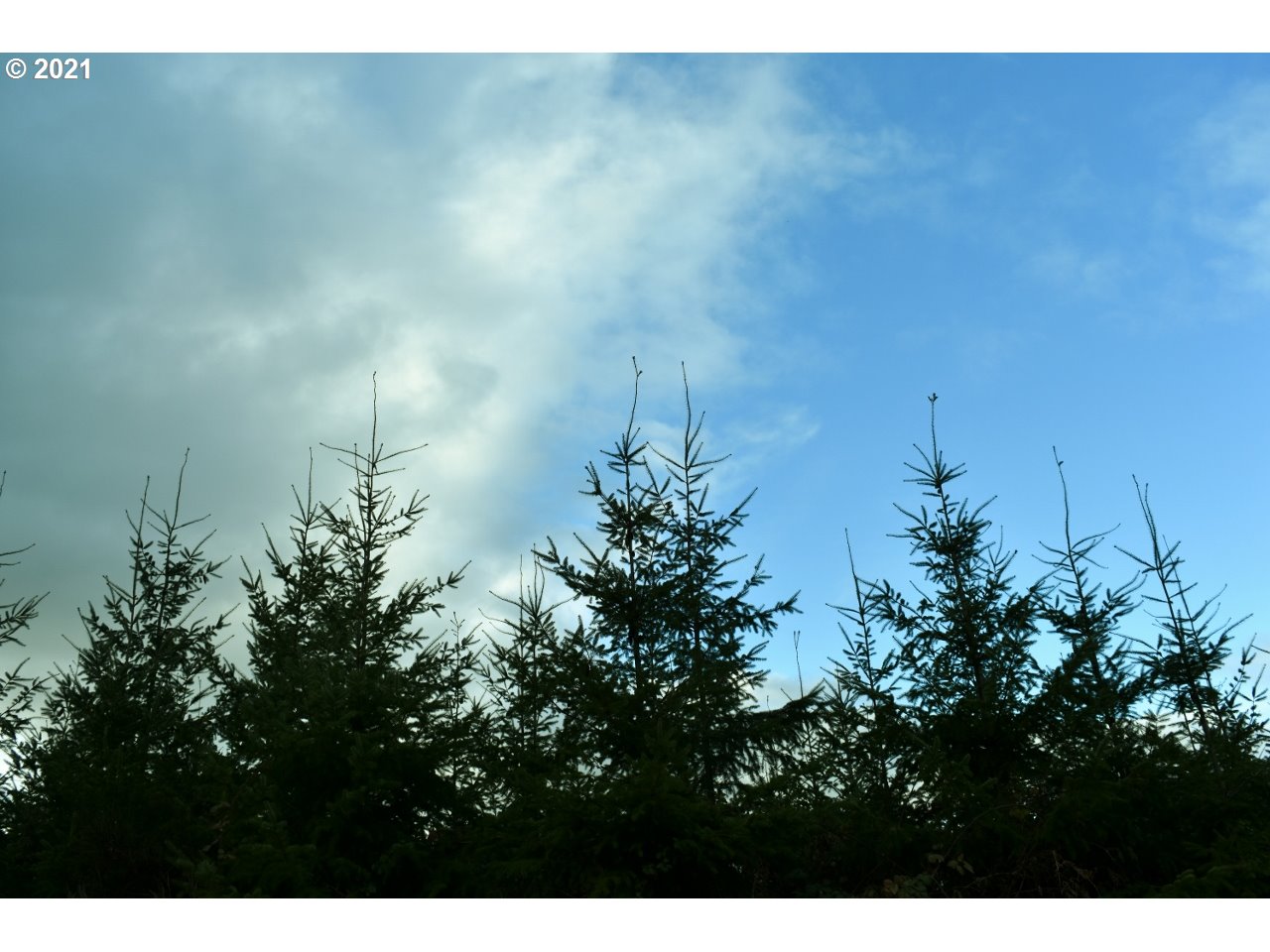 Mt Pleasant Road Lebanon, OR 97355 - Photo 20 of 25