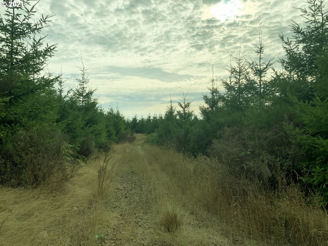 Mt Pleasant Road Lebanon, OR 97355 - Photo 25 of 25