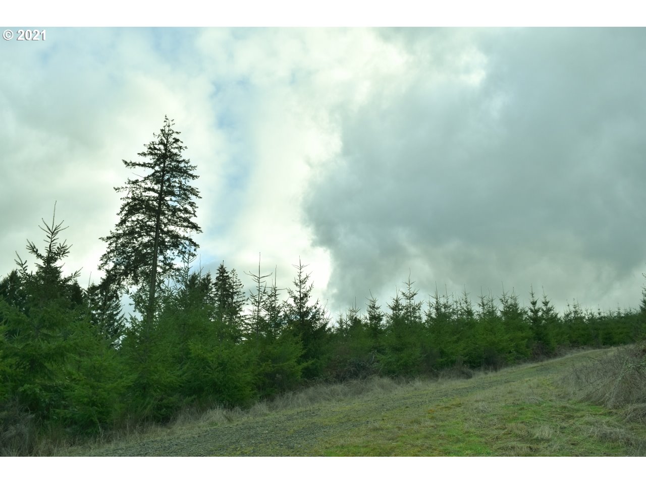 Mt Pleasant Road Lebanon, OR 97355 - Photo 4 of 25