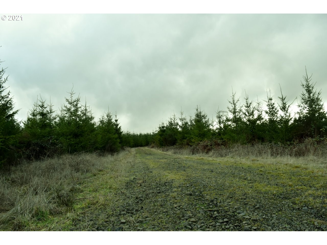 Mt Pleasant Road Lebanon, OR 97355 - Photo 5 of 25