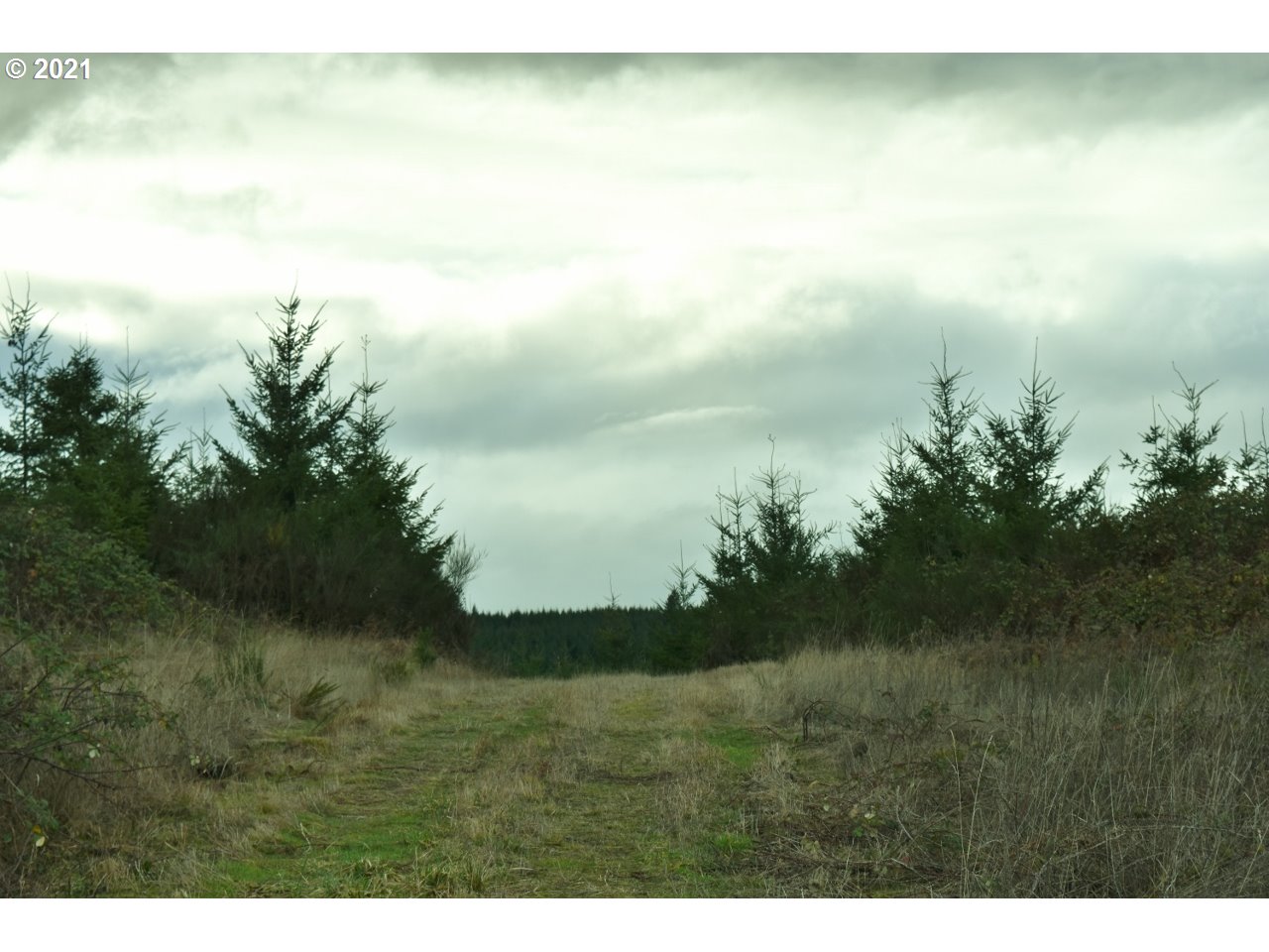 Mt Pleasant Road Lebanon, OR 97355 - Photo 6 of 25