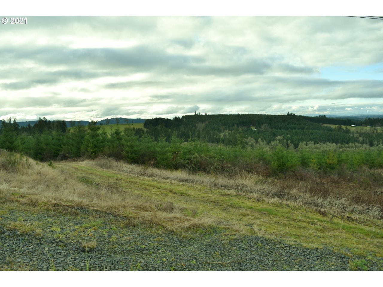 Mt Pleasant Road Lebanon, OR 97355 - Photo 7 of 25