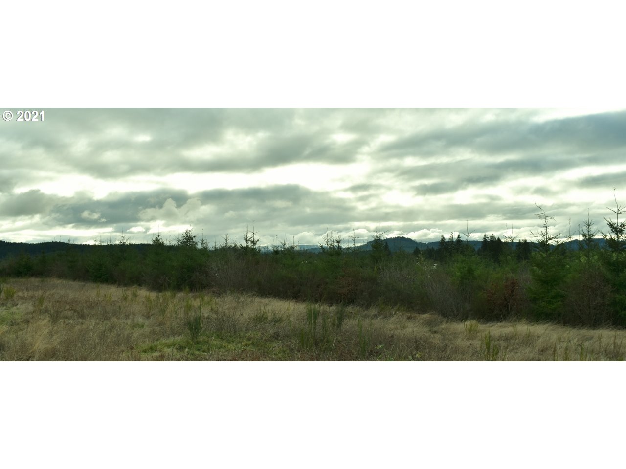 Mt Pleasant Road Lebanon, OR 97355 - Photo 9 of 25
