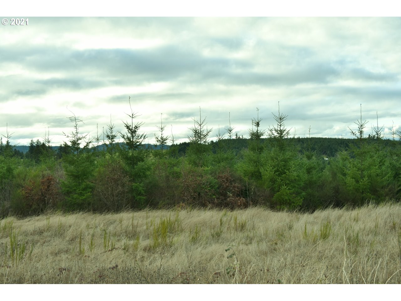 Mt Pleasant Road Lebanon, OR 97355 - Photo 10 of 25