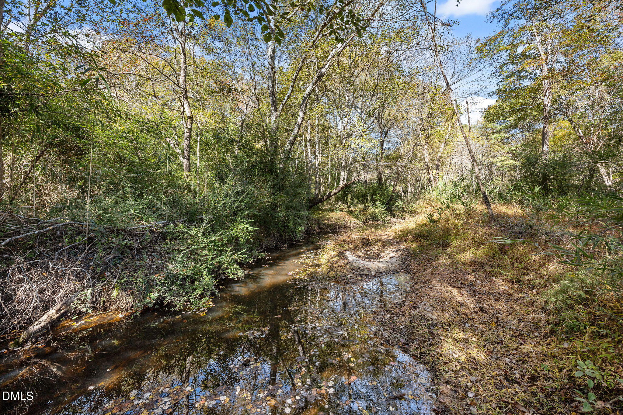 0 Ernest Brown Road Lillington, NC 27546 - Photo 12 of 12 a view of a yard with a tree