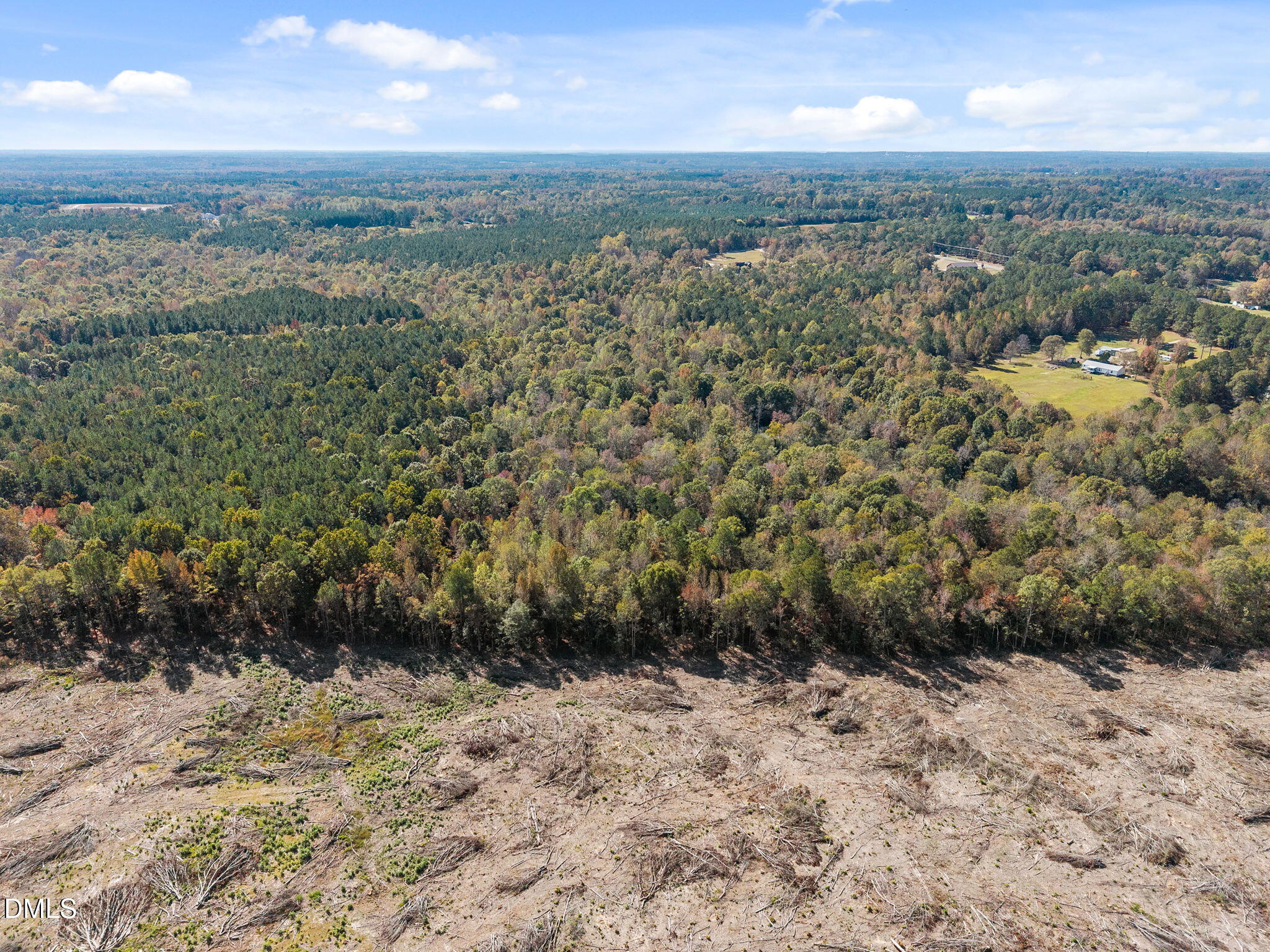 0 Ernest Brown Road Lillington, NC 27546 - Photo 10 of 12 a view of a yard with a yard