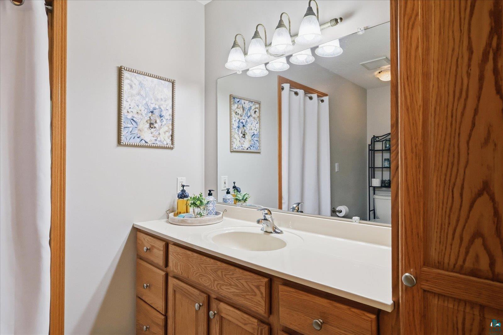 41 East Stark Road Esko, MN 55733 - Photo 8 of 19 Bathroom vanity featuring a light-toned countertop, integrated sink, and wood-finish cabinetry with silver-toned hardware