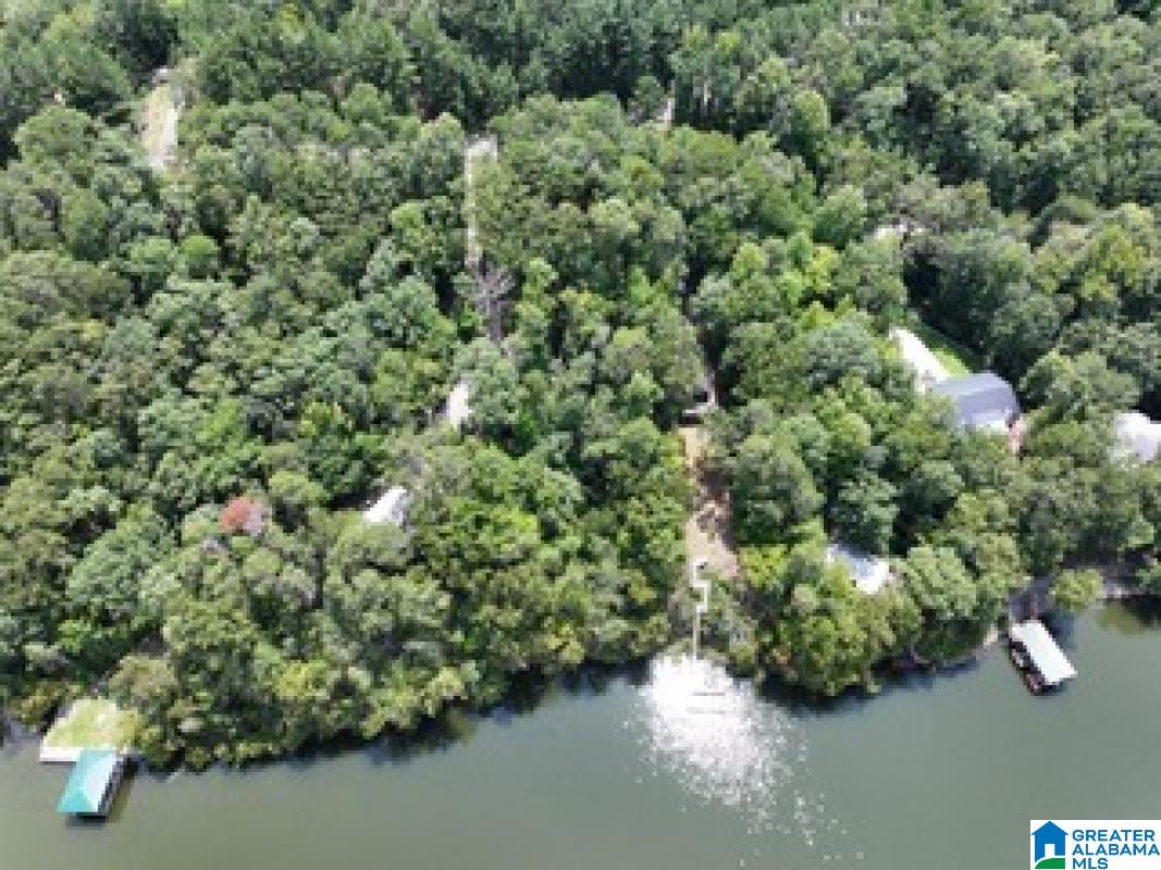 26 Sunset Cove Ohatchee, AL 36271 - Photo 9 of 21