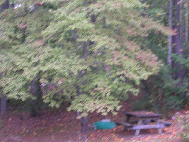 132 Warner Mill Road Walhalla, SC 29691 - Photo 8 of 8 Gallery Image 8