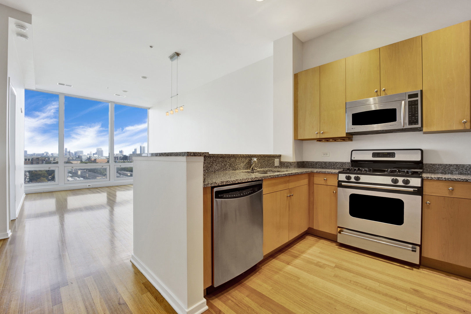 Undisclosed Address Chicago, IL 60654 - Photo 2 of 22 a kitchen with stainless steel appliances a stove a sink and a microwave