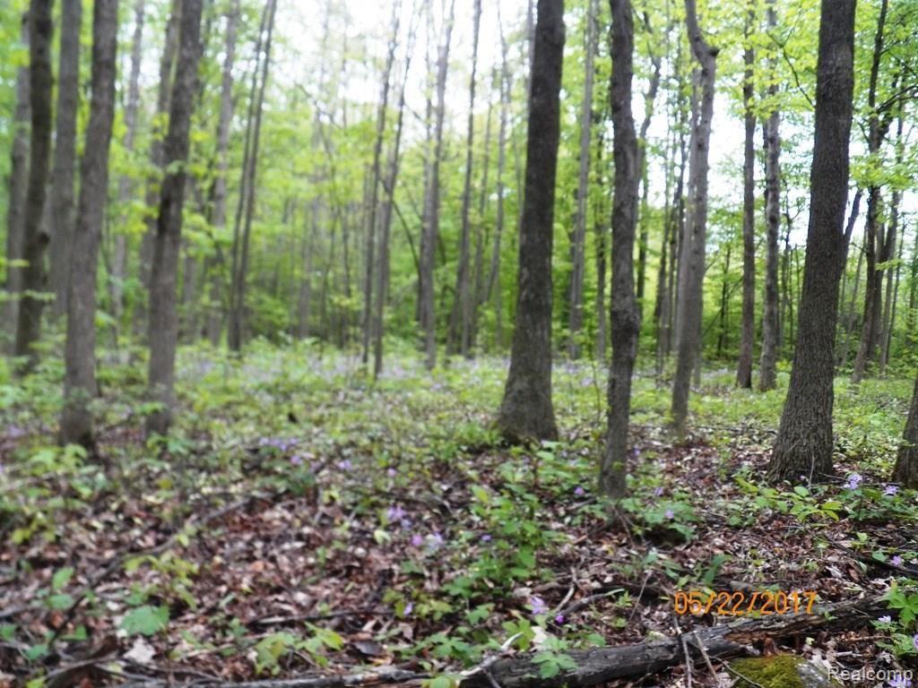 0 Keegan Road Emmett, MI 48022 - Photo 10 of 11