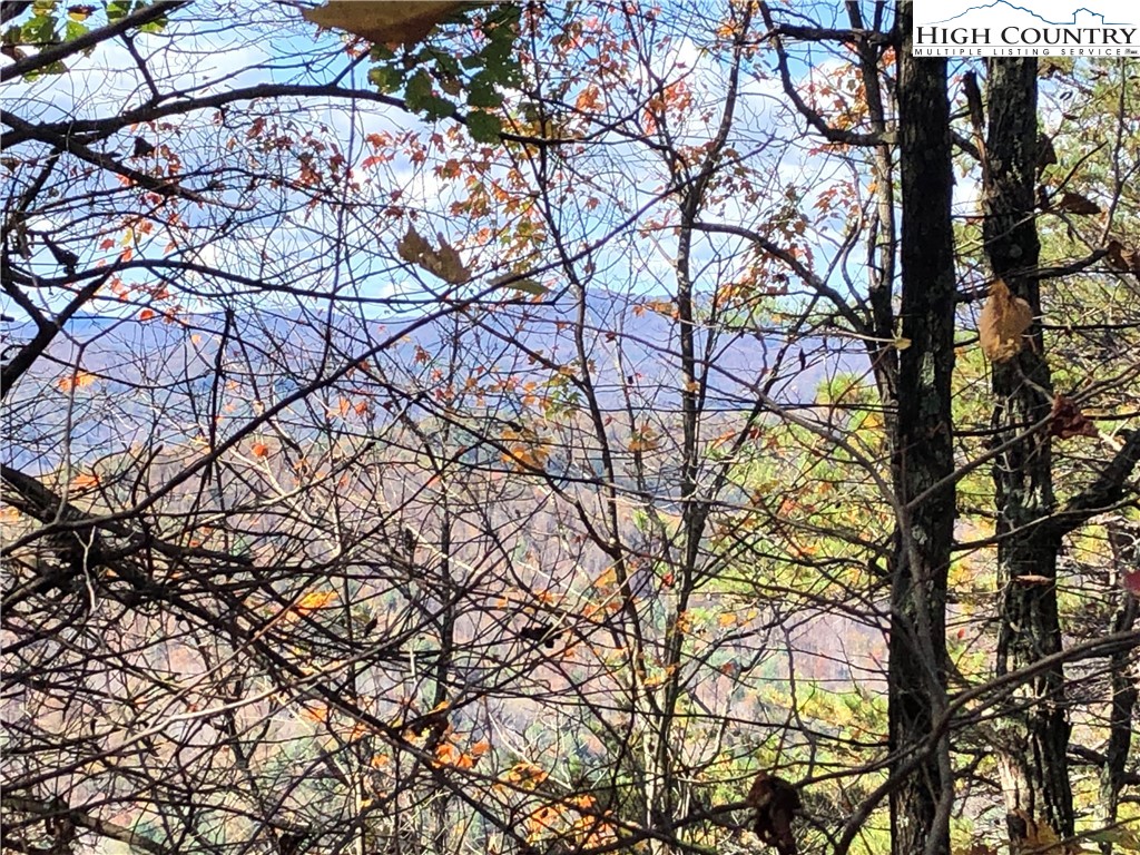 Lot 96 Buck Mountain Road Purlear, NC 28665 - Photo 13 of 42