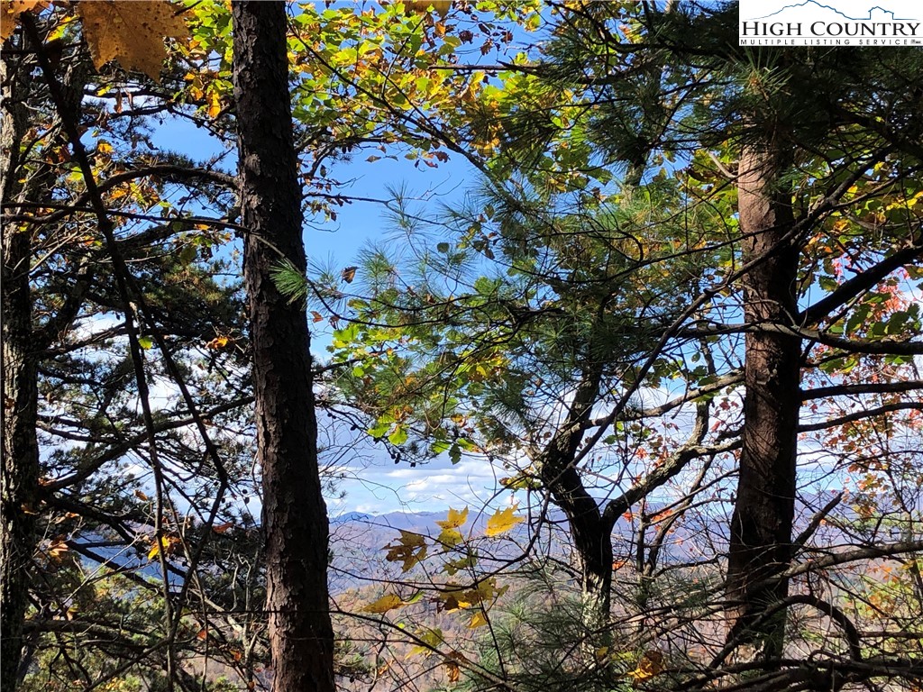 Lot 96 Buck Mountain Road Purlear, NC 28665 - Photo 14 of 42