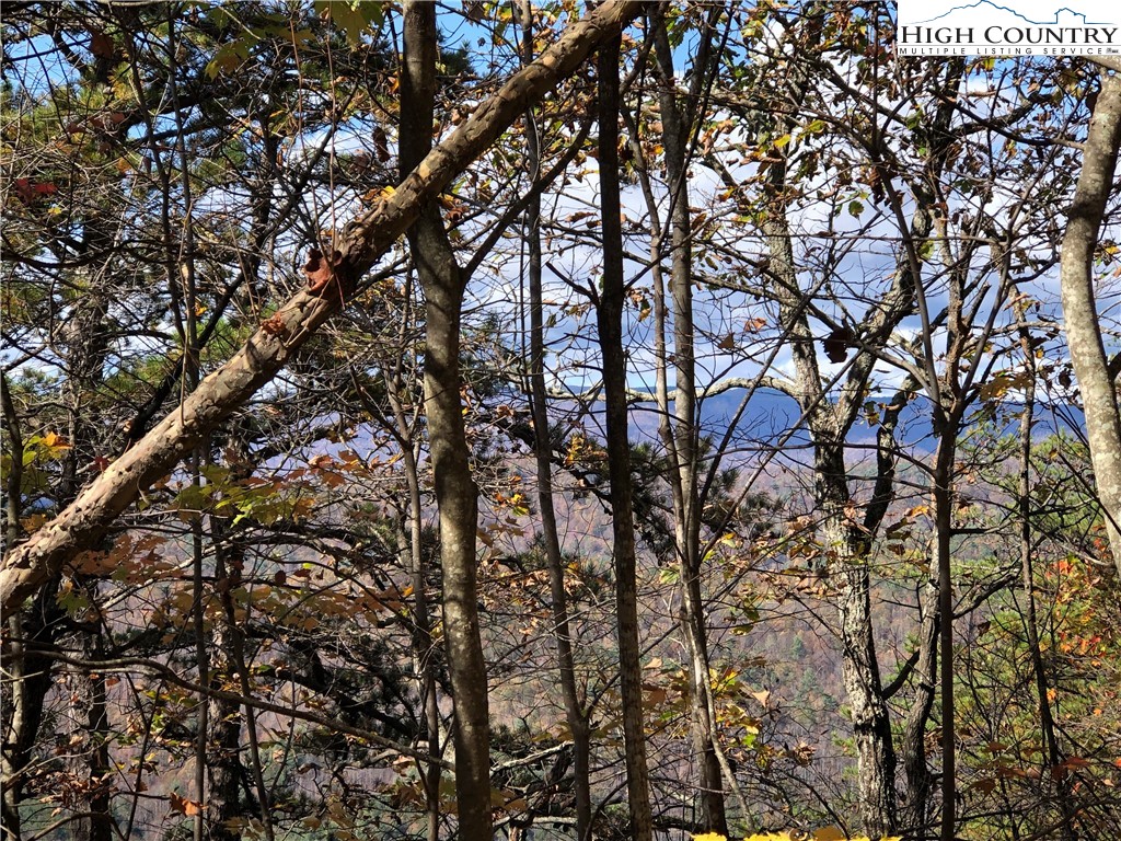 Lot 96 Buck Mountain Road Purlear, NC 28665 - Photo 15 of 42