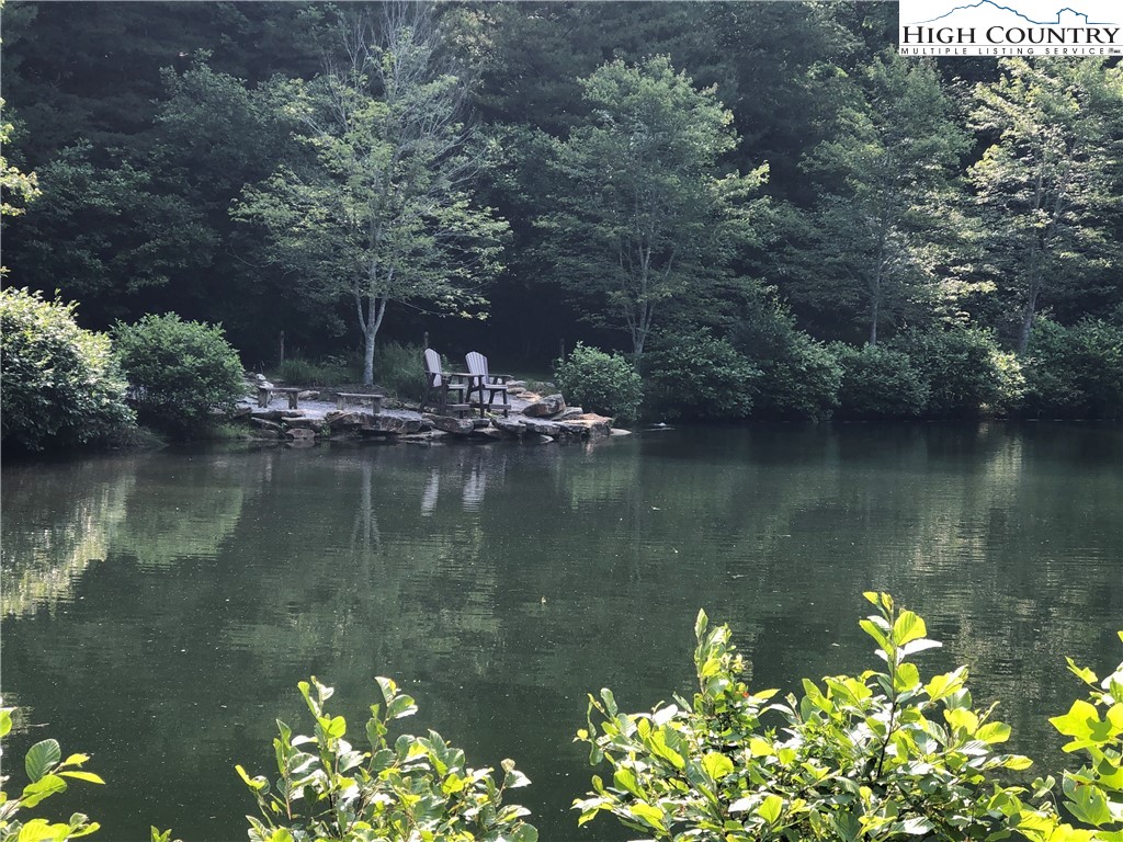 Lot 96 Buck Mountain Road Purlear, NC 28665 - Photo 34 of 42