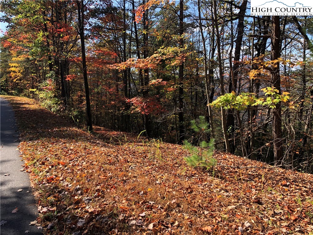 Lot 96 Buck Mountain Road Purlear, NC 28665 - Photo 10 of 42