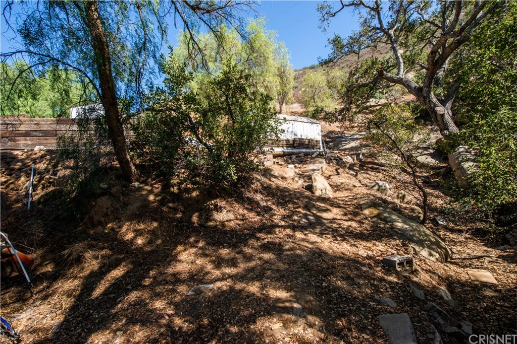 6818 Santa Susana Pass Road Simi Valley, CA 93063 - Photo 23 of 26 View looking up