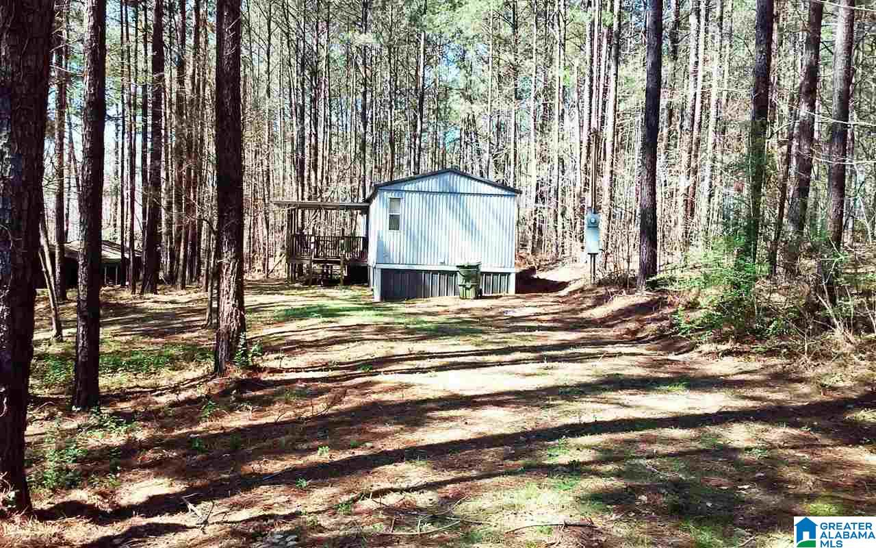 26 Ernest Road Wedowee, AL 36278 - Photo 3 of 3