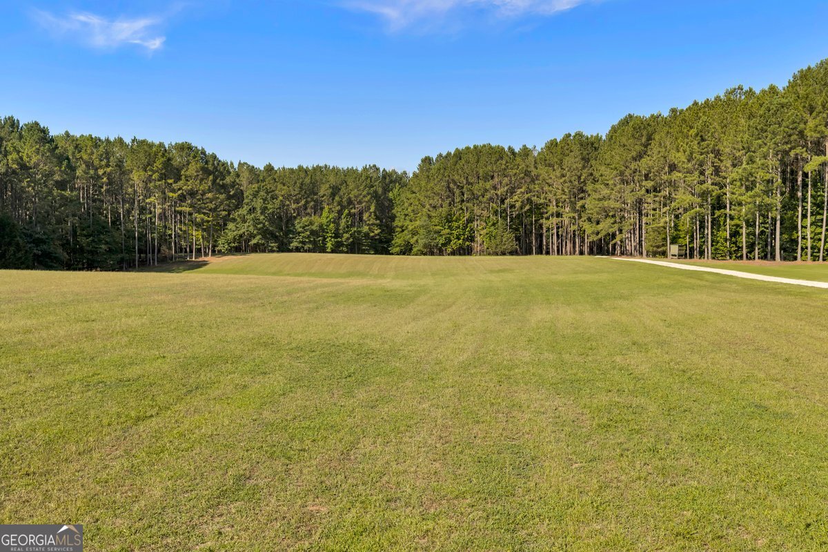 290 T W Leverette Road Jackson, GA 30233 - Photo 5 of 53 Gallery Image 5