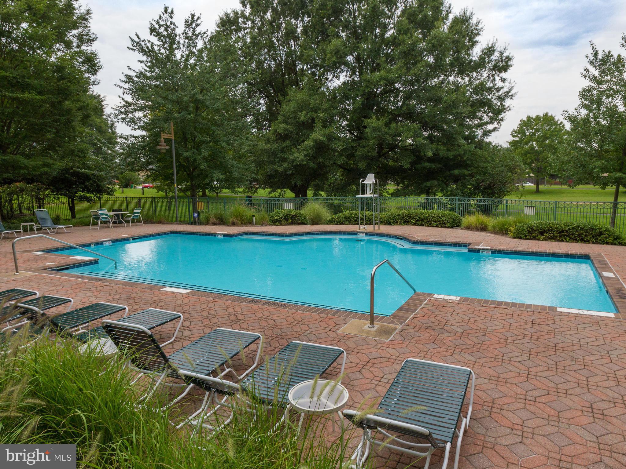 5573 Seminary Road, Unit 202 Falls Church, VA 22041 - Photo 29 of 30 Pool