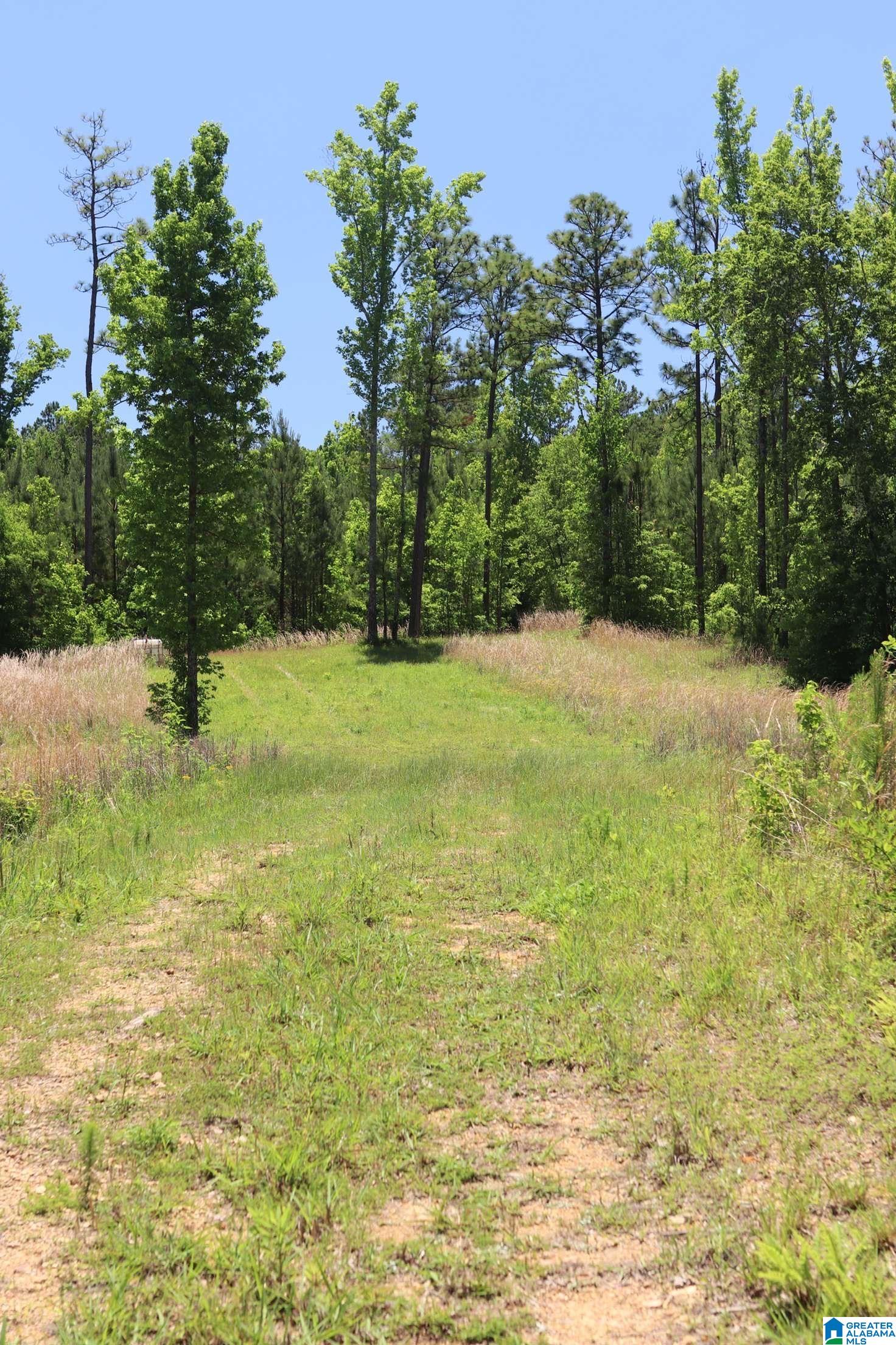 2930 Shocco Springs Road Talladega, AL 35160 - Photo 33 of 93