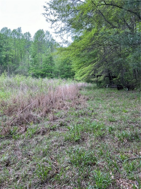 334 Ridge Road Salem, SC 29676 - Photo 11 of 33 Gallery Image 11