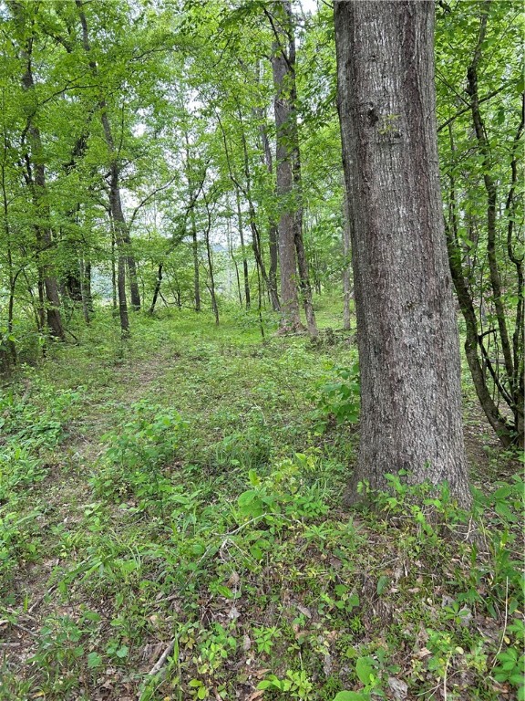 334 Ridge Road Salem, SC 29676 - Photo 14 of 33 Gallery Image 14